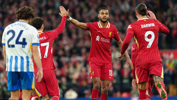 或许才能真 或许才能真